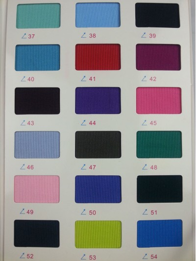 GZ-CIWI  2*2羅紋  NT-D304  380G 側面照